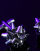 Miniaturebillede 3 af 4