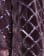 Thumbnail 5 van 5