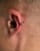 Thumbnail 3 of 4