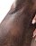 Thumbnail 4 of 5
