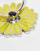 Thumbnail 4 of 4