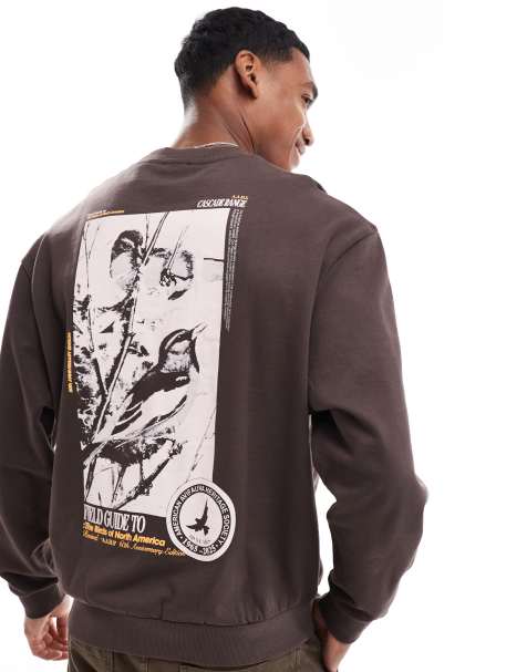 ASOS DESIGN - Sweat oversize avec imprimé photo d'oiseau au dos - Marron - view 1