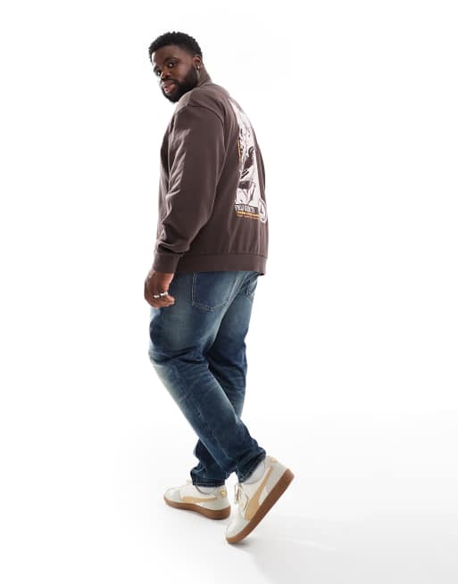 ASOS DESIGN sweatshirt with photographic back bird print in brown