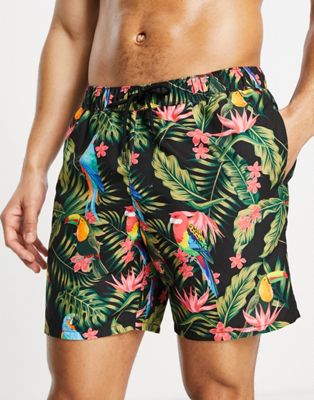 ASOS DESIGN swim shorts with tucan print mid length