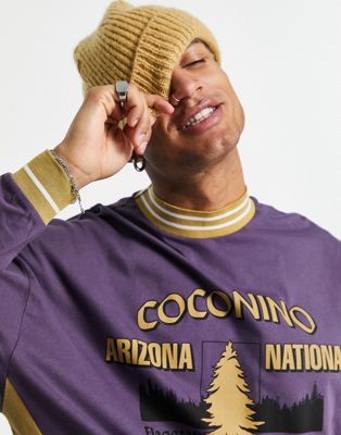 Homme T-shirt oversize à manches longues color block avec imprimé Arizona - Violet