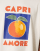 Anteprima 3 di 4