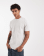 Anteprima 1 di 5