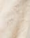 Thumbnail 5 of 5
