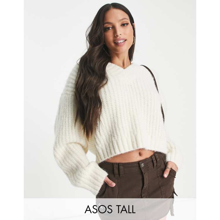 Crop top hot sale oversized sweater