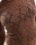 Anteprima 3 di 4
