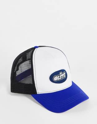 ASOS DESIGN trucker cap in blue and white with embroidery