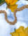 Thumbnail 1 of 4