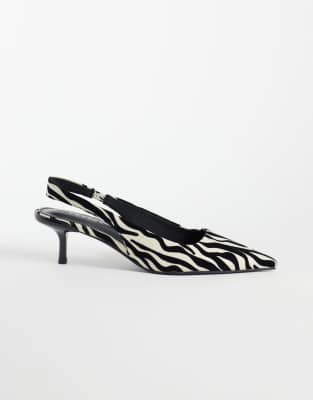 Zebra Print 1