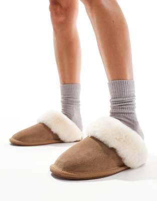 Zeus premium sheepskin slippers in tan-Brown