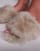 Thumbnail 3 van 4