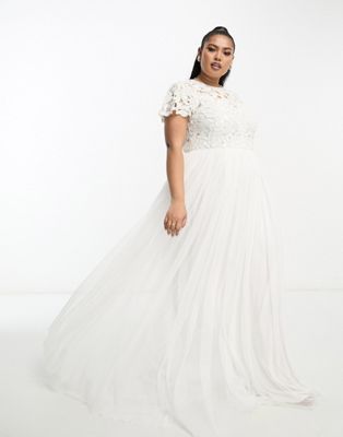 Asos Design Curve Isabelle Sequin Cutwork Bodice Maxi Wedding Dress With Cap Sleeve In Ivory-white