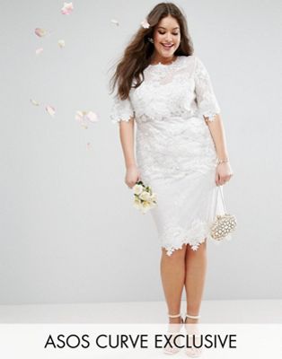 ASOS EDITION Curve Lace Embroidered 