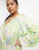 Anteprima 3 di 4