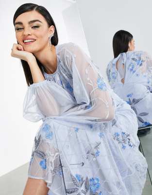 ASOS EDITION – Maxikleid aus Netzstoff mit Blumen- und Blattstickerei in  Blassblau | ASOS