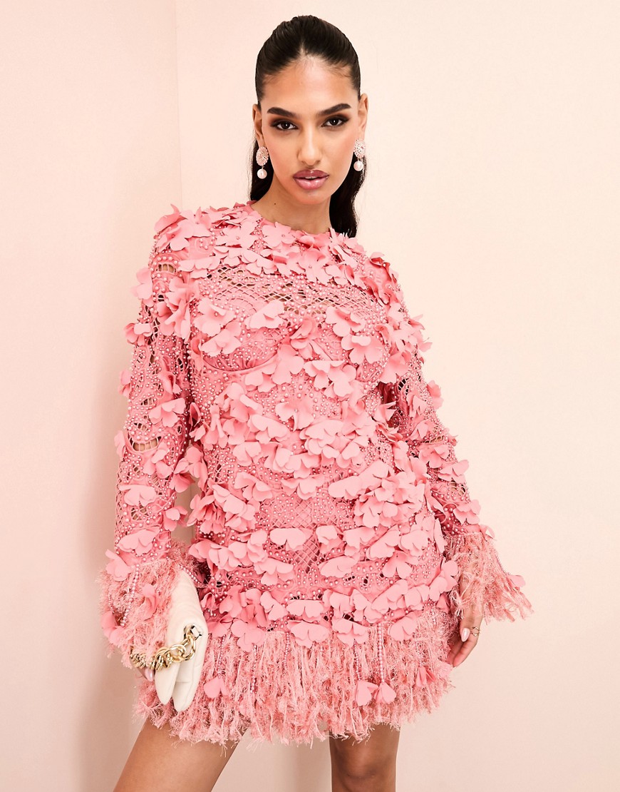ASOS LUXE 3D floral embellished broderie mini dress with faux feather trim in pink