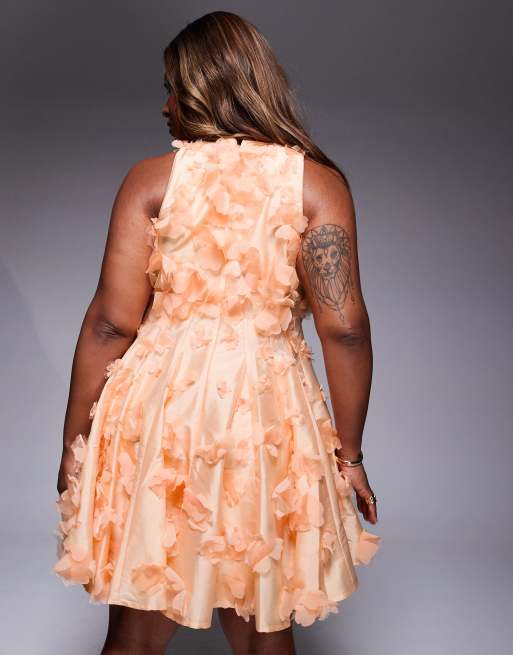 ASOS LUXE Curve - 3D - Abrikosfarvet og blomstret halterneck-miniskaterkjole, 4 af 4