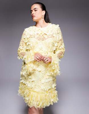 Asos Luxe Curve 3d Floral Embellished Broderie Mini Dress With Faux Feather Trim