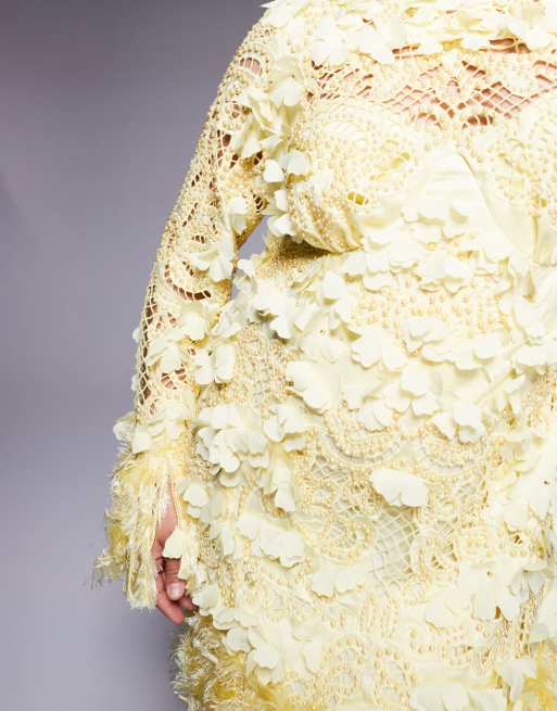ASOS LUXE Curve 3D floral embellished broderie mini dress with faux feather trim in buttermilk