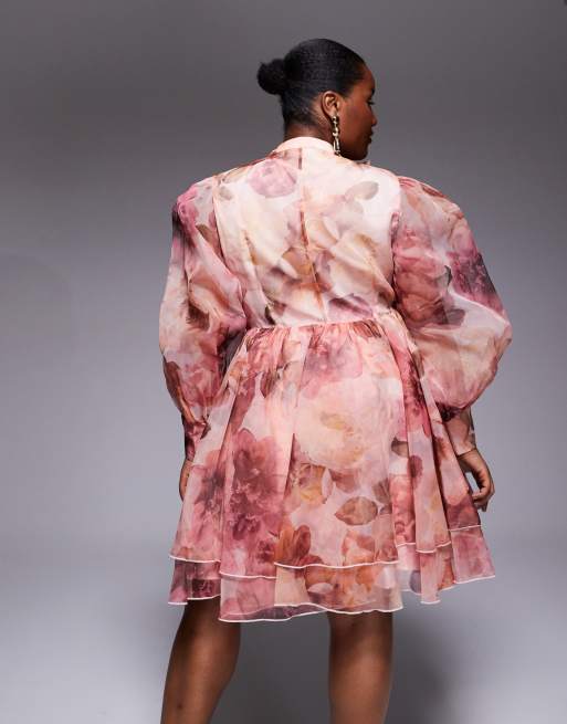 ASOS LUXE Curve – Ausgestelltes Organza-Kleid in Rosa mit Schluppe und Blumenmuster, 4 von 4