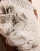Thumbnail 3 van 5