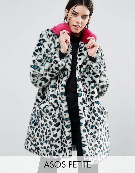 ASOS PETITE - Manteau fausse fourrure motif léopard avec col de couleur vive