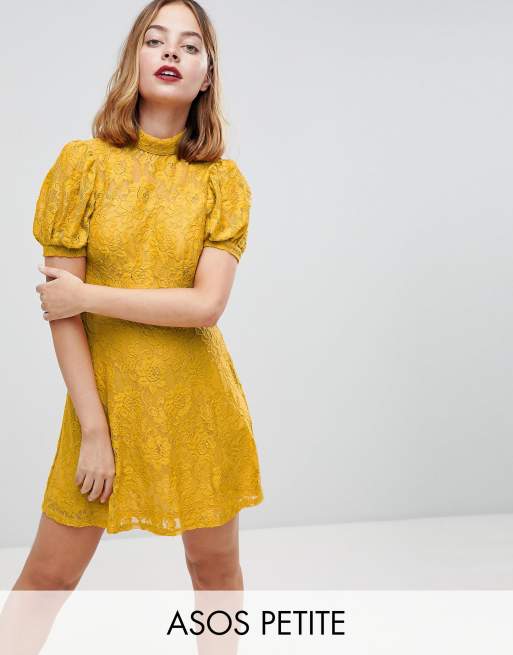 Asos petite lace clearance dress