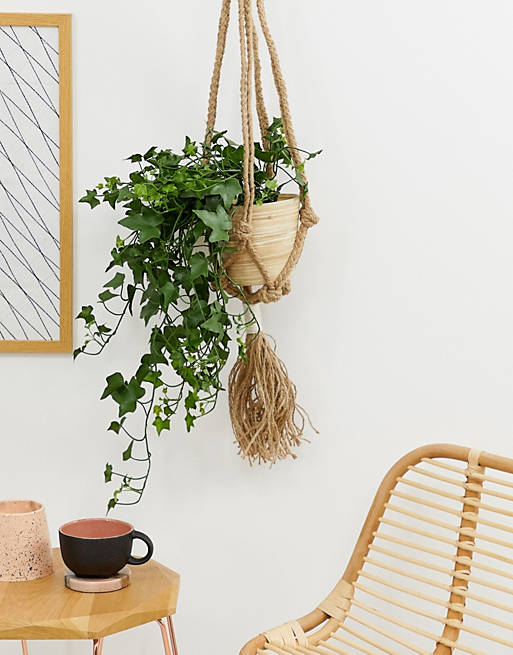 ASOS SUPPLY macrame tassel hanging plant pot