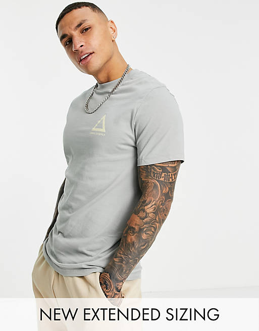 ASOS Unrvlld Spply t-shirt with logo print in neutral grey