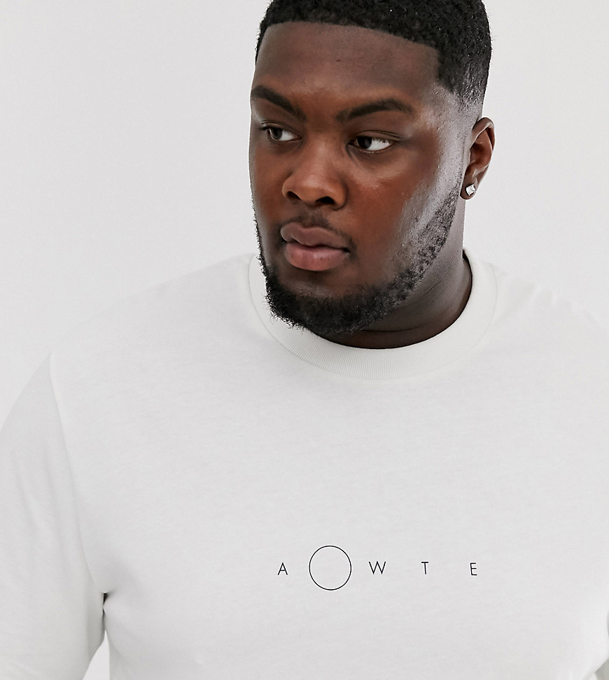 ASOS WHITE – Plusstorlek – T-shirt i oversize-modell med mönster på bröstet-Vit