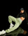 Thumbnail 1 of 4