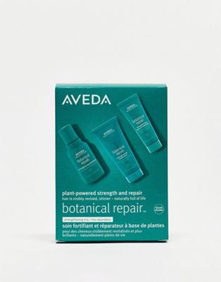 Aveda Botanical Repair Discovery Gift Set (save 36%)
