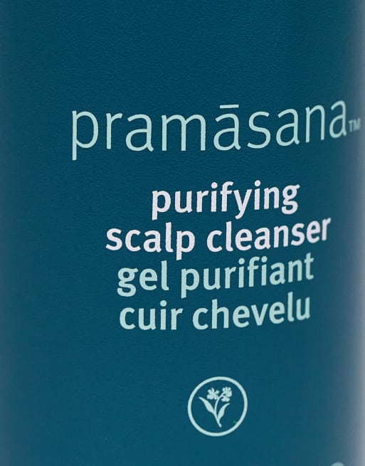 Aveda - Pramasana Purifying Scalp Cleanser 150 ml, 3 van 4