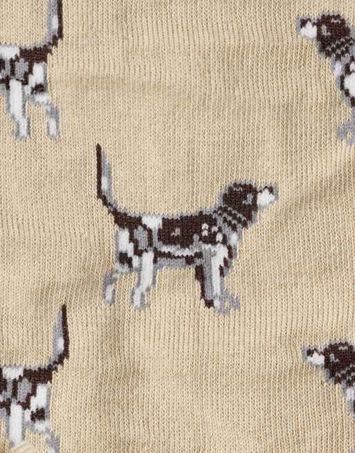 Barbour 3 pack pointer dog socks gift box in multi, 2 of 3