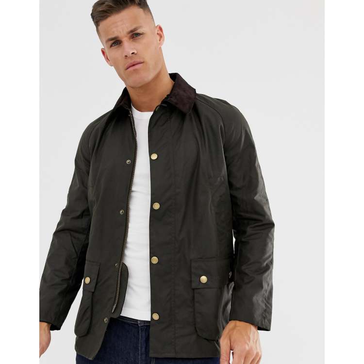 barbour ashby
