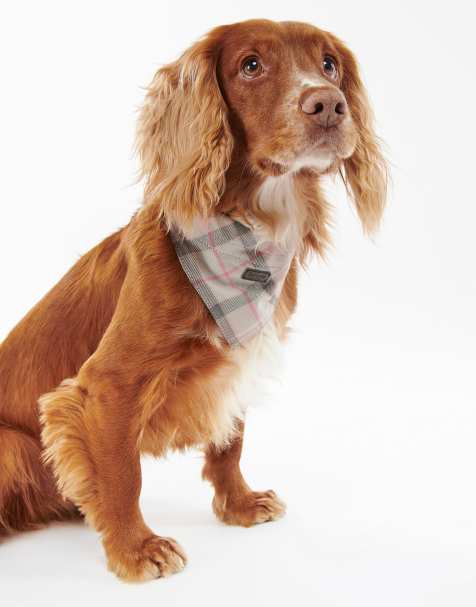 Barbour check tartan dog bandana in pink - view 1