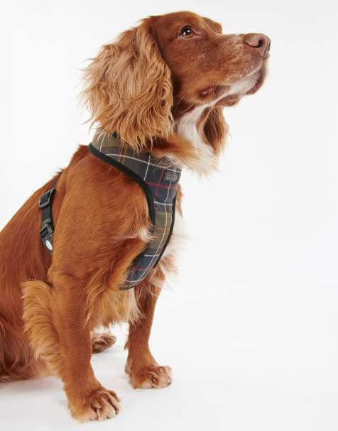 Barbour check tartan dog harness in classic tartan - view 1