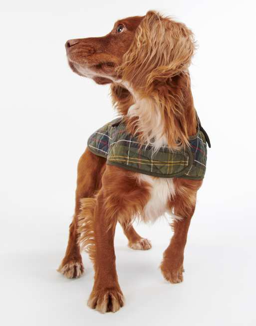Barbour dog tartan check coat in green, 5 of 5