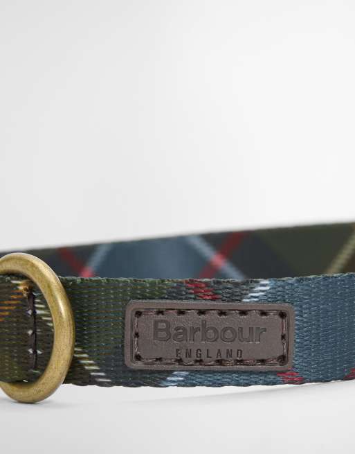 Barbour dog tartan check printed collar in green, 3 of 4