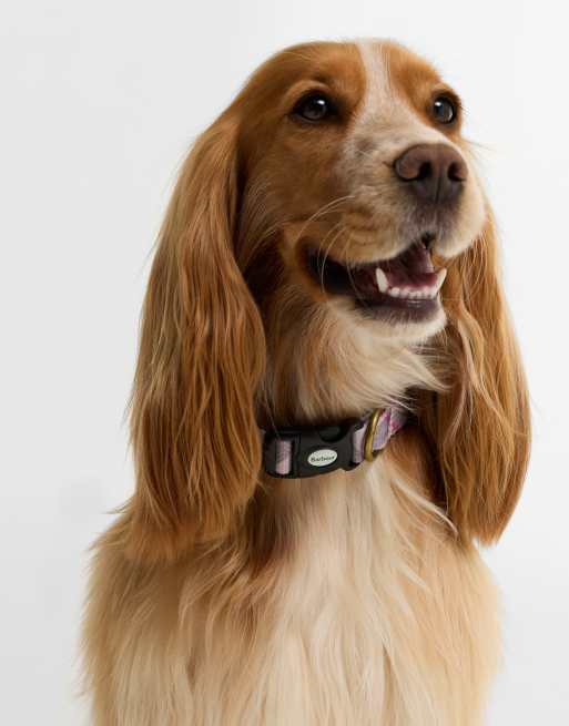 Barbour dog tartan check printed collar in pink, 2 of 4