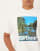Thumbnail 5 of 5