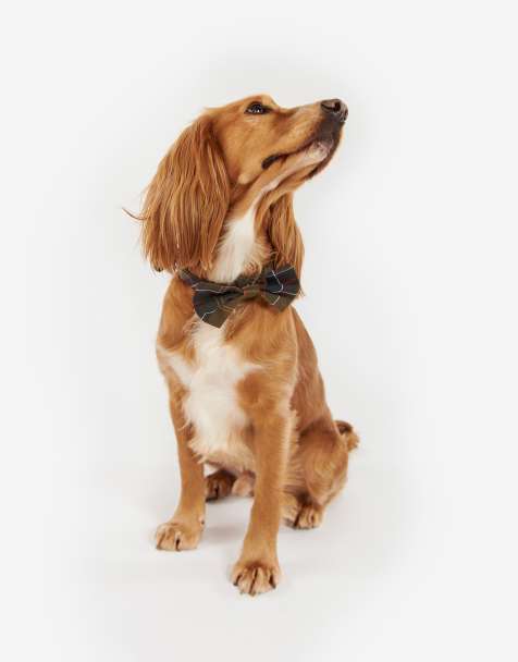 Barbour tartan check dog bow tie in green - view 1