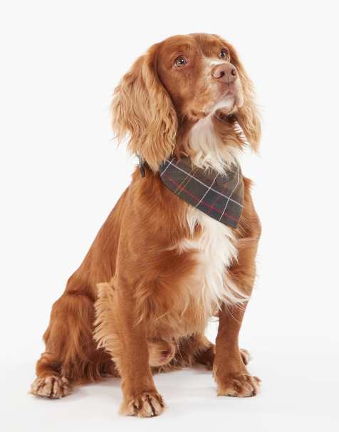 Barbour tartan dog bandana - view 1