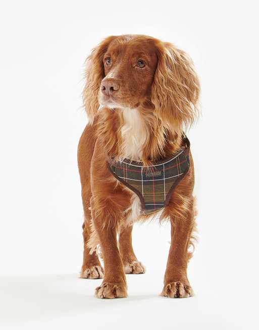barbour travel and exercise dog harness, 4 of 4