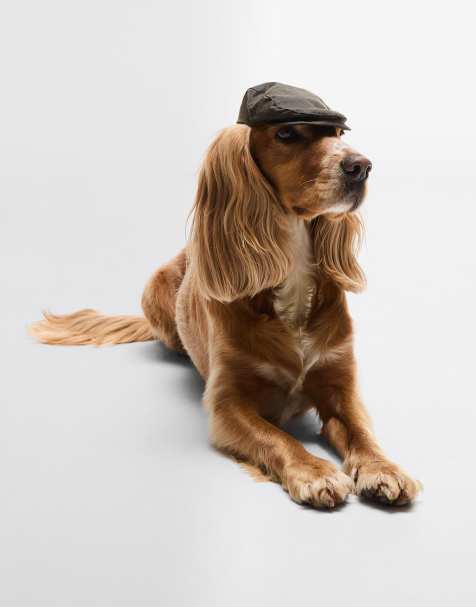 Barbour wax dog flat cap in green - view 1