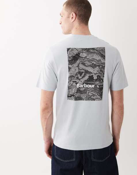 Barbour Wildfell relaxed graphic t-shirt with back print in light blue